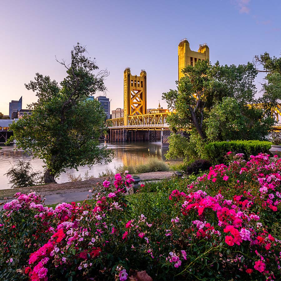 Pasadena Real Estate - Stewart and Campbell Real Estate